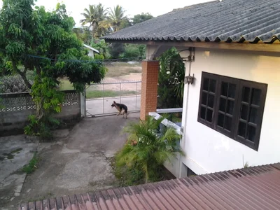 Hang Chat - Photo 5