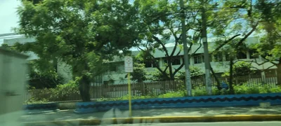 Lapu-Lapu - Photo 5