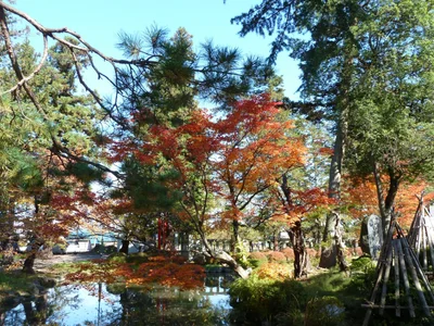 Yonezawa - Photo 3