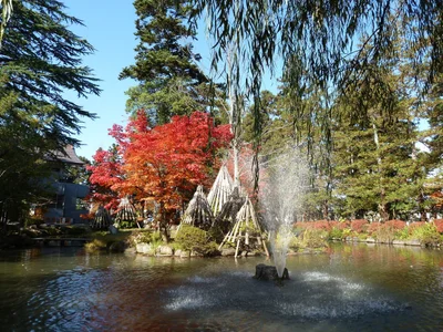Yonezawa - Photo 4
