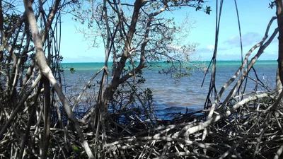 Lac Cai - Photo 5
