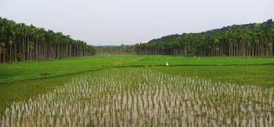 Mannarkkad - Photo 3