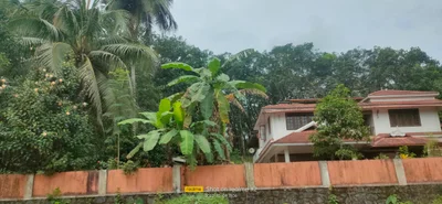 Mannarkkad - Photo 4