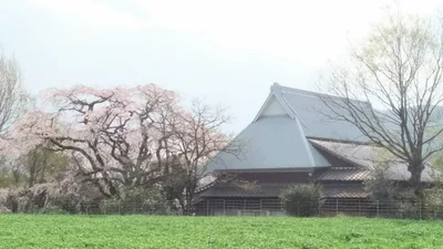 Tosu - Photo 2