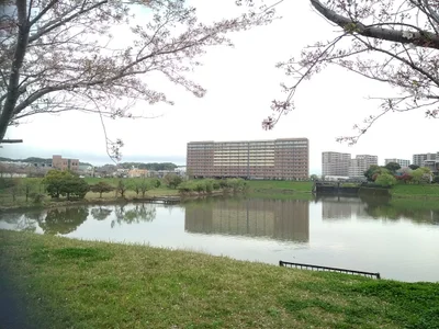 Tosu - Photo 5