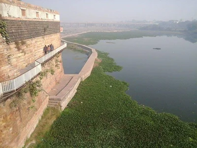 Morbi - Photo 4