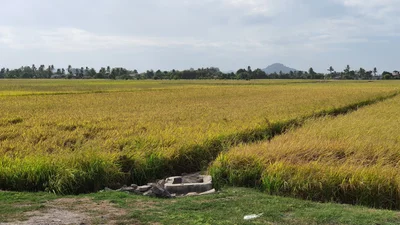 Jitra - Photo 2