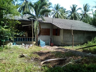 Tha Sala - Photo 2