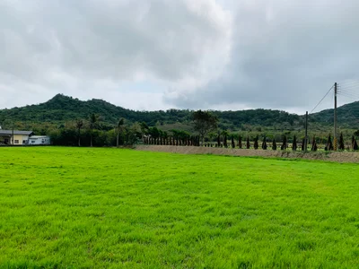 Manzhou - Photo 2