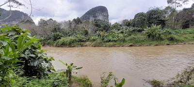 Gua Musang - Photo 4