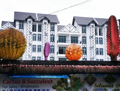Cameron Highlands - Photo 5