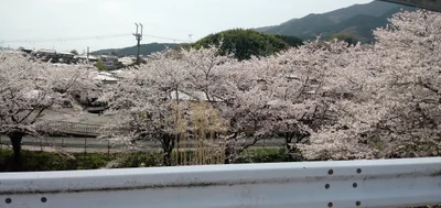 Takatsuki - Photo 4