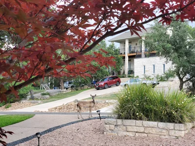 Lago Vista - Photo 3