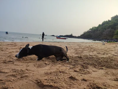 Gokarna - Photo 2
