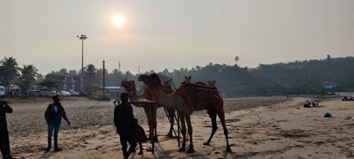 Gokarna - Photo 3