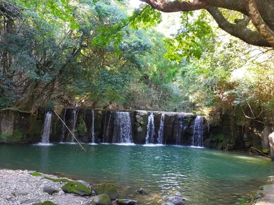 Yamaga - Photo 2