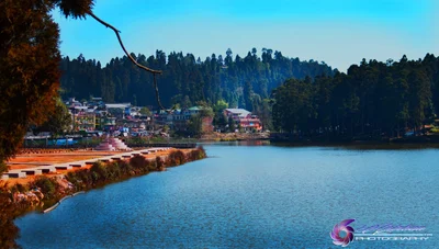 Mirik - Photo 3