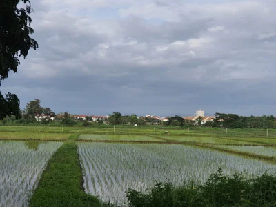 Nong Hoi - Photo 2