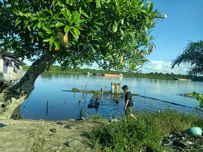 Sampit - Photo 2