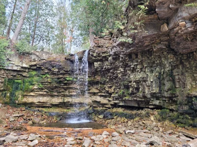 Halton Hills - Photo 3