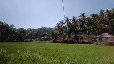 Batusangkar - Photo 3