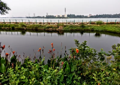 Jinjiang City - Photo 2