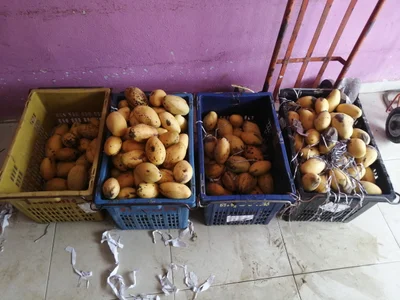 Kuala Terengganu - Photo 2
