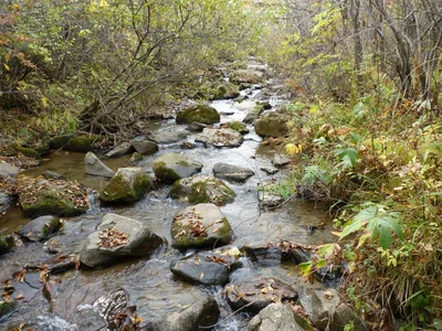 Baishan - Photo 2