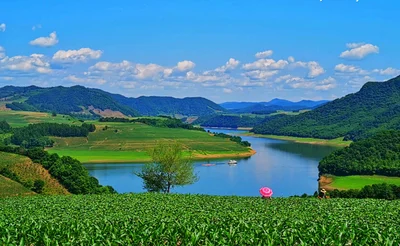 Baishan - Photo 3