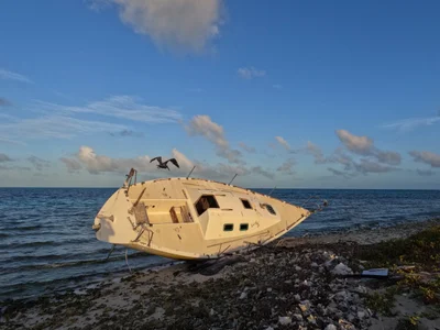 French Cay - Photo 2