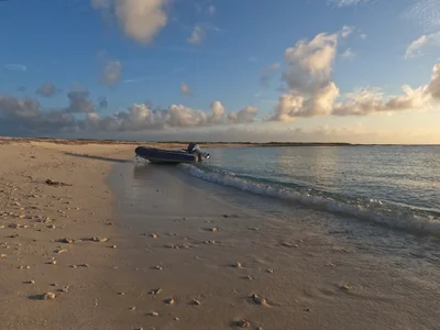 French Cay - Photo 3