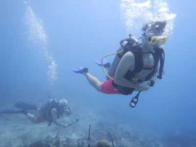 French Cay - Photo 5