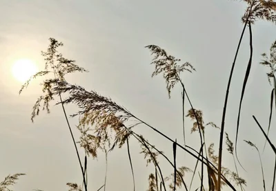 Xianyang - Photo 4