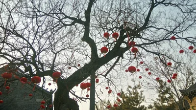 Weifang - Photo 4