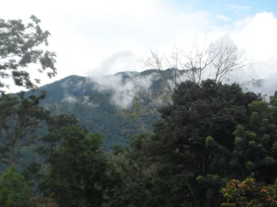 Mae Fa Luang district - Photo 2