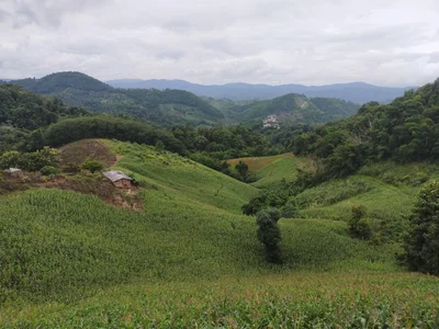 Mae Fa Luang district - Photo 4