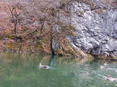 Ichinoseki - Photo 3