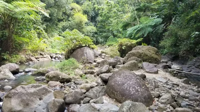 Errand Falls - Photo 4