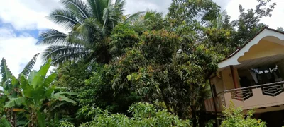 Rambukkana - Photo 5