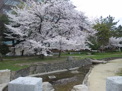 Amagasaki - Photo 2