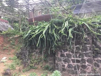 Khe Sanh - Photo 5