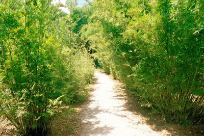 Cranbrook Flower Forest - Photo 3