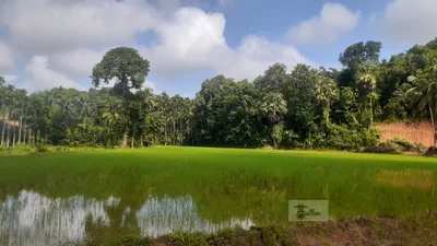 Bantwal - Photo 5