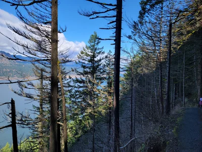 Columbia Gorge Scenic Highway - Photo 4