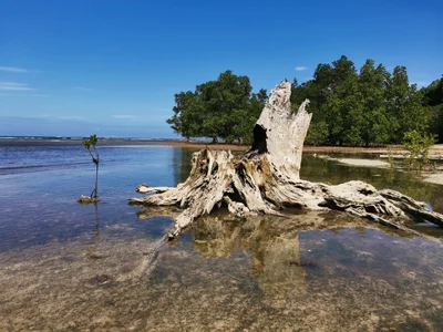 Dapitan - Photo 4