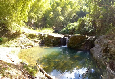 Christiana Bottom - Photo 2
