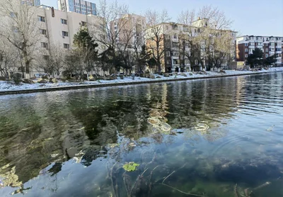 Shenyang City - Photo 4