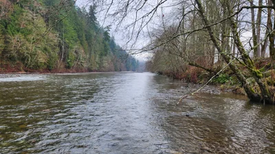 Orting - Photo 2