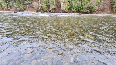 Orting - Photo 3
