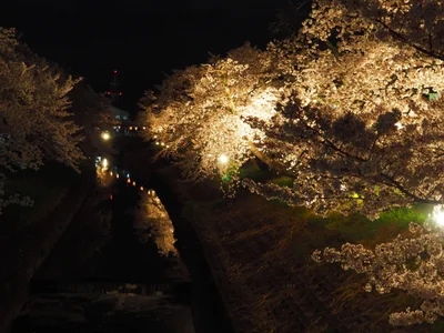 Yamatotakada - Photo 3